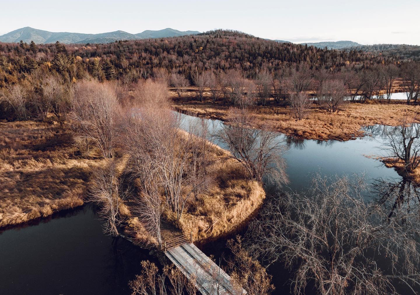 Autumn Bridges
